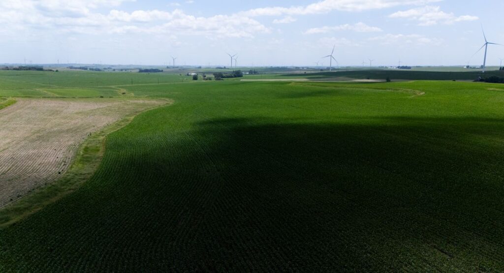 Rangées de panneaux solaires sur terrain agricole ensoleillé en France