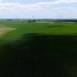 Rangées de panneaux solaires sur terrain agricole ensoleillé en France