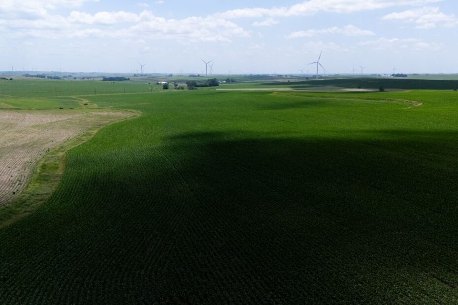 Rangées de panneaux solaires sur terrain agricole ensoleillé en France