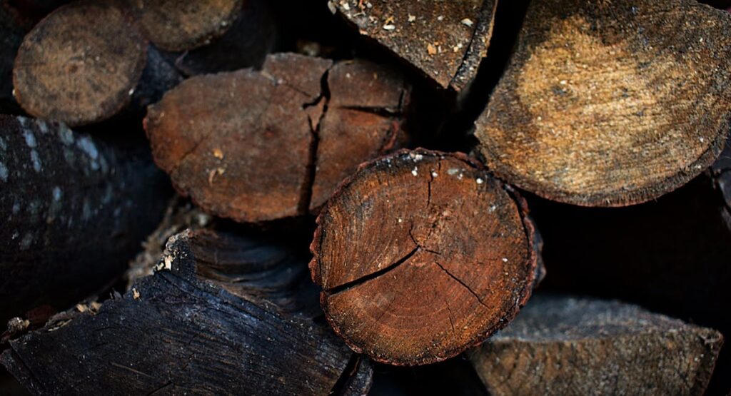 Stères de bois de chauffage empilés dans une cour de ferme en automne