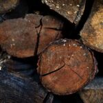 Stères de bois de chauffage empilés dans une cour de ferme en automne