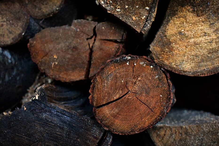 Stères de bois de chauffage empilés dans une cour de ferme en automne
